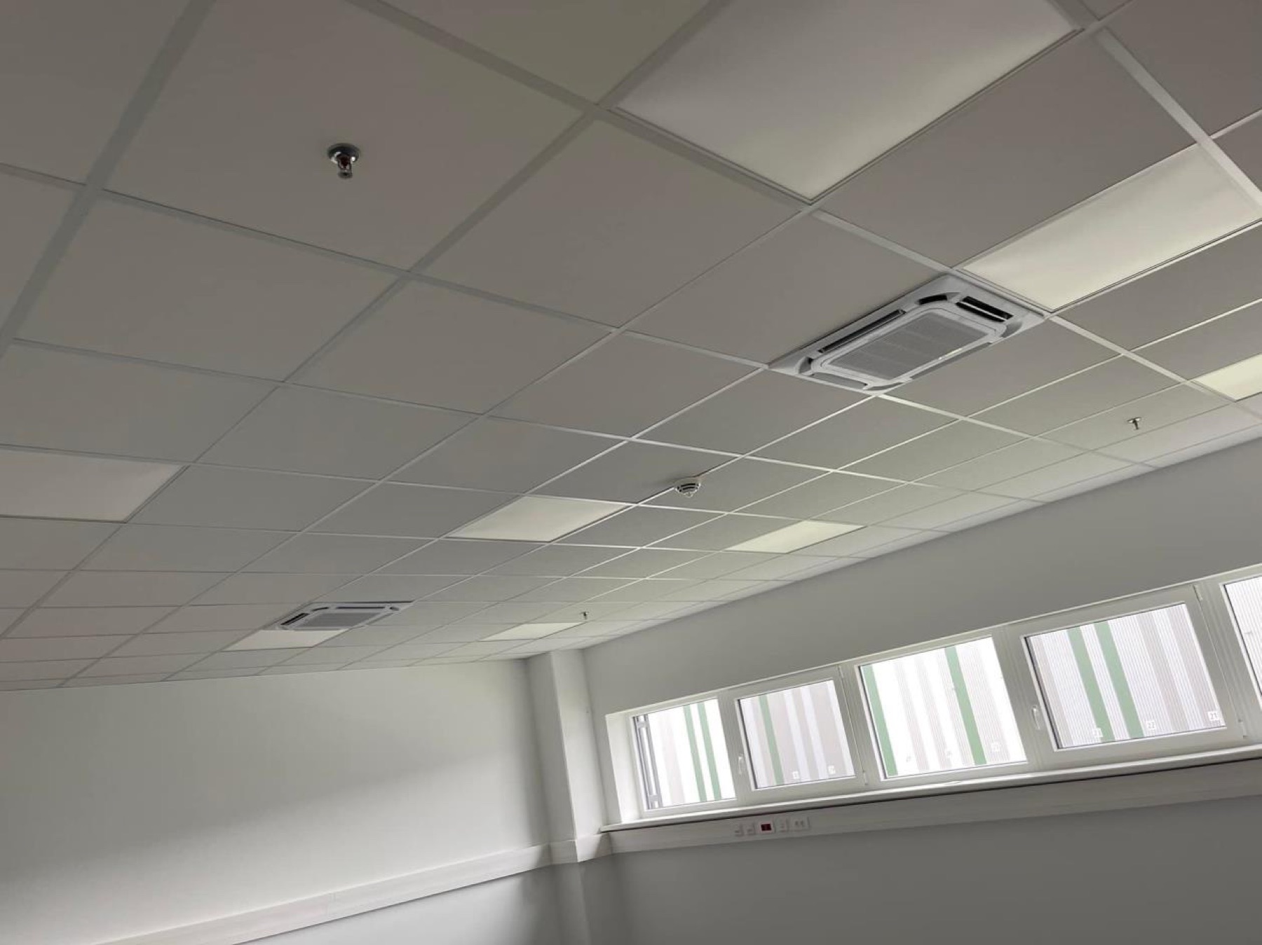 Helles Büro mit Rasterdecke